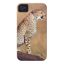 De geval-partner van de de douaneJachtluipaard van Case-Mate iPhone 4 Hoesje