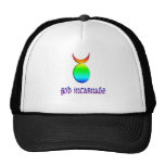 de god gestalte geeft aan regenboog mesh pet