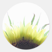 De goedemorgensticker van de zonnebloem