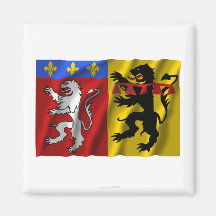 De golvende vlag van Rhône Koelkast Magneetje