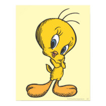 De Gooi van Tweety posters