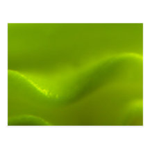 De groene Droom van de Golf Wenskaart