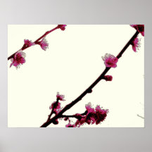 De groet van de lente plaat