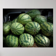 De Gulle gift van de zomer Posters