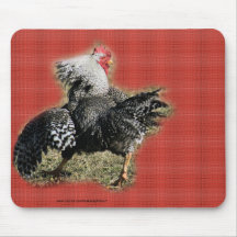 De Haan Mousepad- van Wyandotte van Struttin perso Muismat