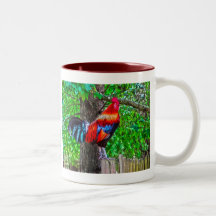 De Haan van het boerderij Koffie Bekers