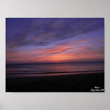 De Havik van SunriseKitty NC. Poster