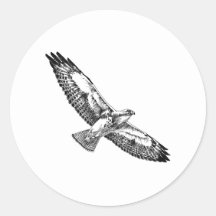 De Havik van Swainson (tijdens de vlucht) Stickers