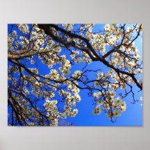 De Hemel van de lente Afdruk