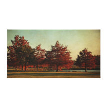 De herfst in de het canvasdruk van het Park Stretched Canvas Prints