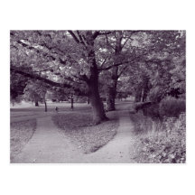 De herfst in het Park - Paars Gestemd BW Wenskaarten