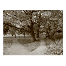 De herfst in het Park - Sepia Gestemd BW Wens Kaarten