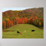 De Herfst van Tennessee Posters