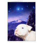 De hond is God gespelde achteruit… Wenskaart