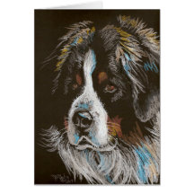 De Hond van de Berg van Bernese Wenskaart