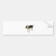 De Hond van het Puppy van de brak Bumpersticker