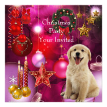De Hond van Kerstmis van de Partij van Kerstmis va