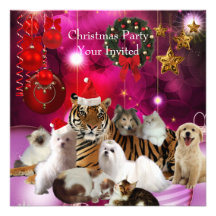 De Honden van de Katten van de Tijger van Kerstmis
