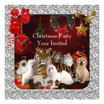 De Honden van de Katten van de Tijger van Kerstmis