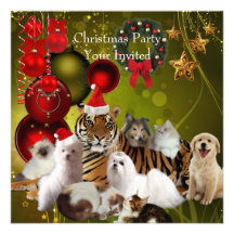 De Honden van de Katten van de Tijger van Kerstmis
