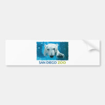 De ijsbeer van de Dierentuin van San Diego Bumpersticker