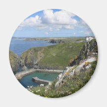 DE INHAM CORNWALL VAN DE VERTICALE RAAMSTIJL KOELKAST MAGNEET
