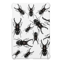 De Insecten van het Insect van de Kever van het uu