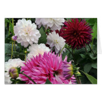De Kaart van de Bloem van de dahlia kaarten