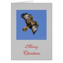 De Kaart van de buizerd
