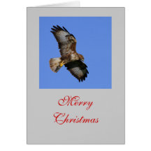 De Kaart van de Buizerd van de jacht