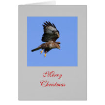 De Kaart van de Buizerd van de jacht