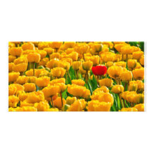 De Kaart van de Foto van de bloem Fotokaart Sjabloon