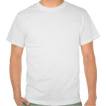 Nigeria Voetbal T-Shirts