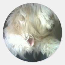 De Kaart van de hond Ronde Sticker