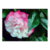De Kaart van de Natuur van de camelia kaarten