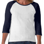 De kat-Minnaar van het Kat van de Wasbeer van Main Tshirts