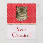 De kat van de gestreepte kat folder ontwerp