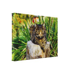 De Kat van de houding Canvas Print