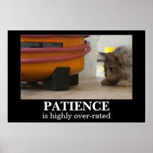 De Kat van het geduld en het Poster van Demotivati