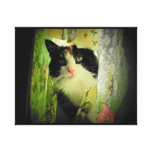 De Kat van het Gordijn van het calico Stretched Canvas Afdruk