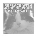 De Kat van het Kat van de douane Canvas Afdruk