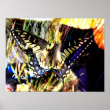 De kattencollage van de vlinder afdruk