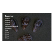 De kegel van de rat (Conus rattus) Shell Visitekaartjes Sjabloon