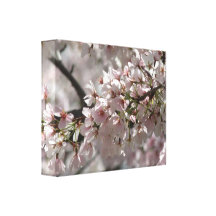 De kers komt Canvas tot bloei Gallerij Wrap Canvas