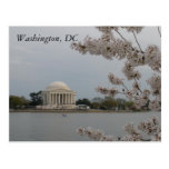 De kers komt tot bloei: Washington, het Briefkaart Wens Kaart
