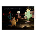 De Kerstkaart van Texas -- Gordeldier en Cactus