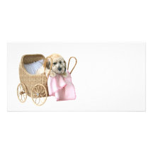 De kinderwagen van de poedel foto kaart