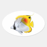 De klantgerichte Auriga Threadfin Visstick van de  Ovaalvormige Sticker
