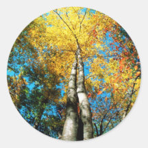 De Kleuren van de herfst - Great Smoky Mountains - Sticker