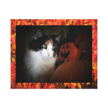 De kleurenkat van de herfst stretched canvas afdruk